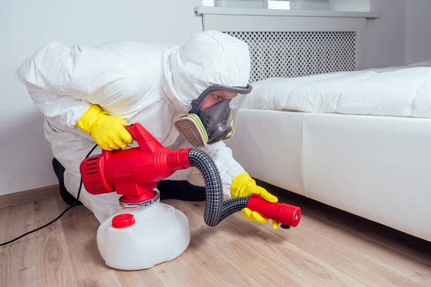 Best Real Estate Pest Inspections  in Temperance, MI